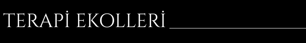 teraİ ekollerİ